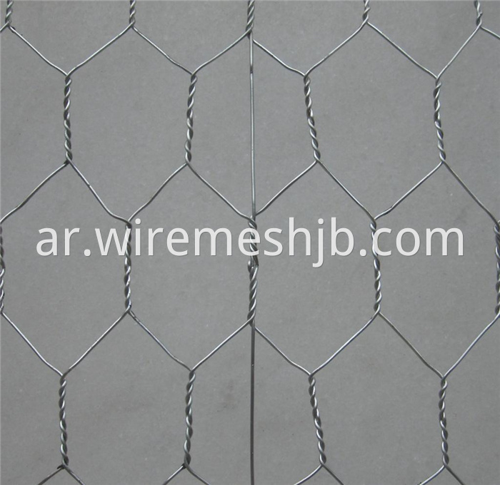 view_product_details_reinforcement_hexagonal_wire_mesh